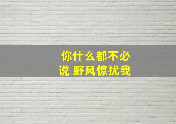 你什么都不必说 野风惊扰我